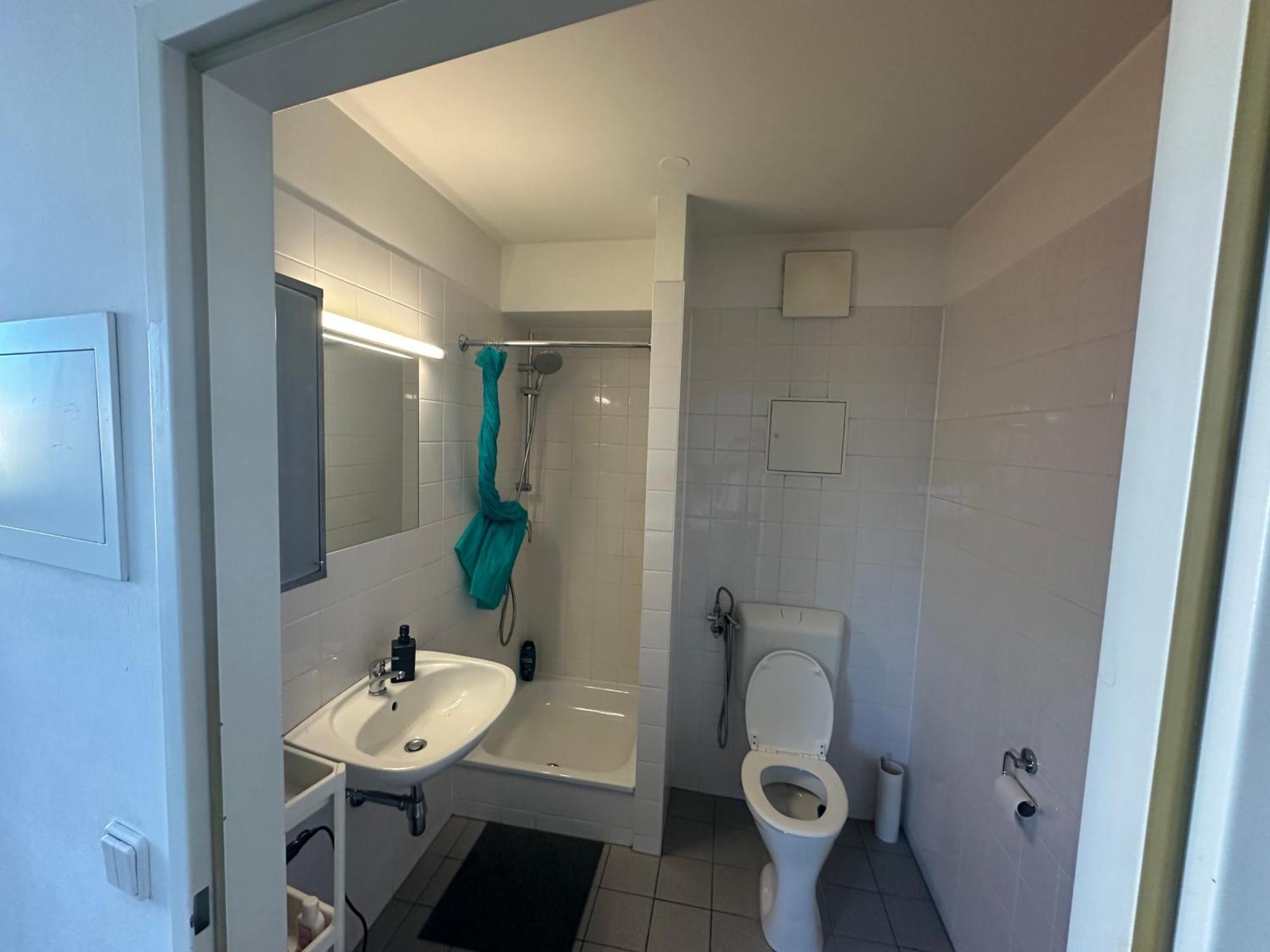 Cozy Bright Penthouse Close To U1 And U6 Metros Appartement