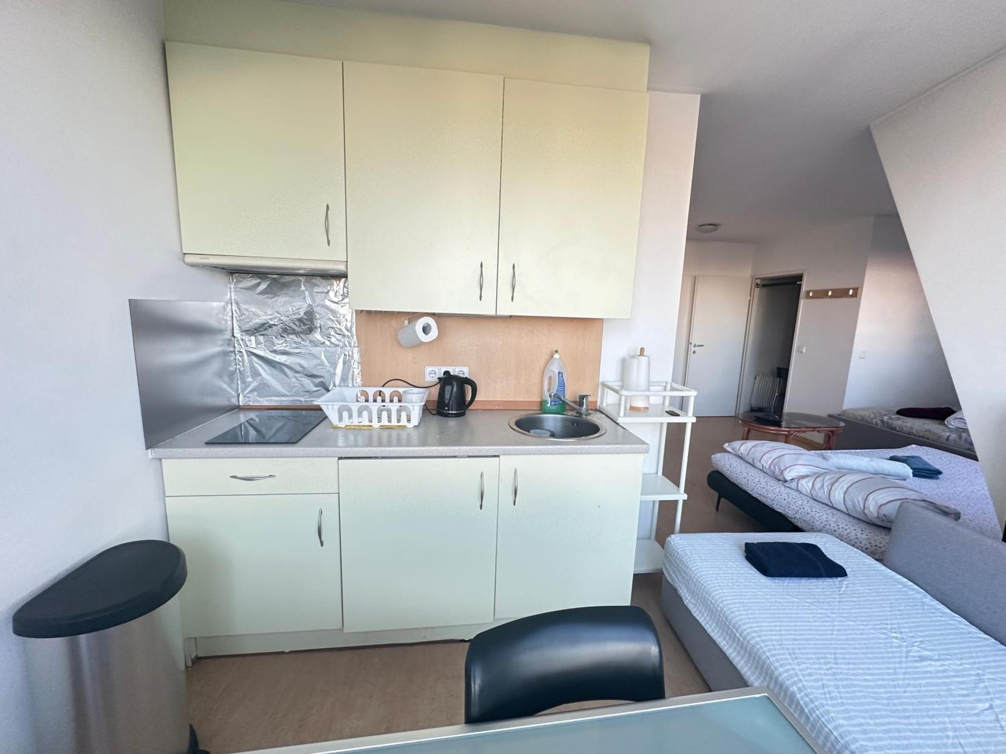 Cozy Bright Penthouse Close To U1 And U6 Metros Appartement